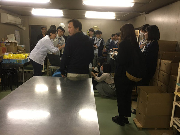 網走市大地のりんご